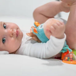 Playgro Activiteiten Rammelaar Clip Clop -Speelgoed Verkoopwinkel 1011959 0905e56f