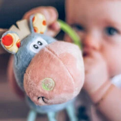 Playgro Activiteiten Rammelaar Clip Clop -Speelgoed Verkoopwinkel 1011959 8a721bfb