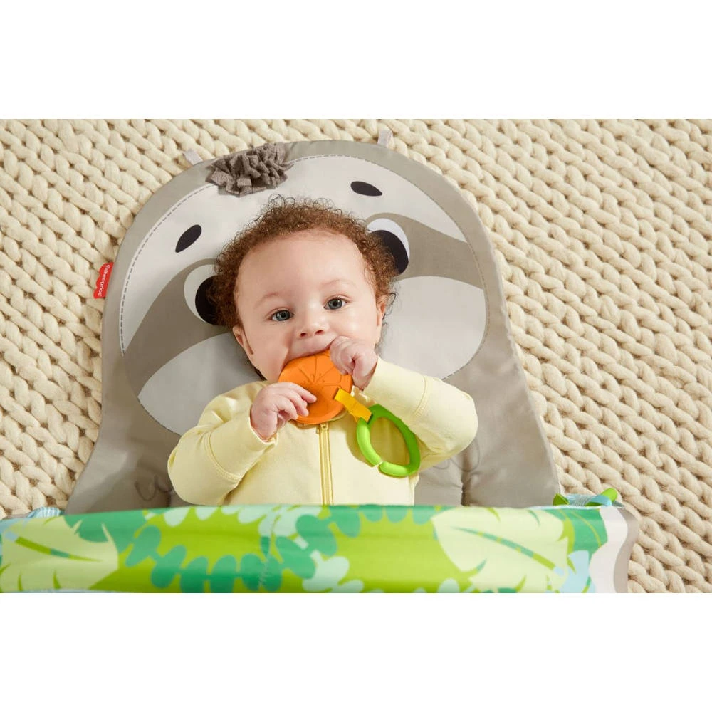 Fisher Price Fisher-Price Ready To Hang Sensorische Luiaard Activity Center 7 Fisher Price Fisher-Price Ready To Hang Sensorische Luiaard Activity Center - Afbeelding 5