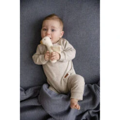 Little Dutch Knijpspeeltje Little Goose -Speelgoed Verkoopwinkel 1985475 3d322586