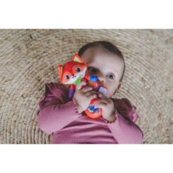 VTech Baby Dierenvriendjes Rammelaar Vos -Speelgoed Verkoopwinkel 1988313 7fae1603