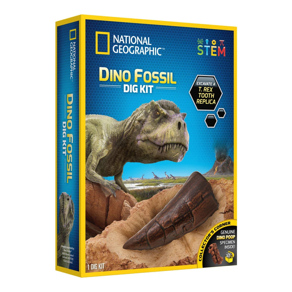 No Brand National Geographic Dino Fossiel Graaf Set 3 No Brand National Geographic Dino Fossiel Graaf Set