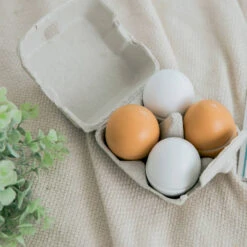 No Brand New Classic Toys Houten Eieren Set 4-delig -Speelgoed Verkoopwinkel 1997132 860c7a2b